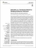 Zebrafish_vertebrate_OA_2022.pdf.jpg