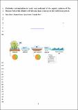 Pesticides_contamination_in_water_and_sediment_Calvo_Preprint_Art2021.pdf.jpg