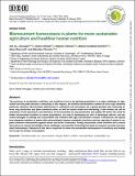 Micronutrient-homeostasis-in-plants-for-more-sustainable.pdf.jpg