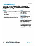 ECM degradation in the Drosophila_Robert_Art2022.pdf.jpg