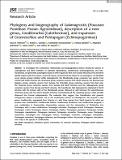J of Sytematics Evolution - 2021 - Peterson - Phylogeny and biogeography of Calamagrostis  Poaceae  Pooideae  Poeae .pdf.jpg
