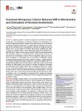 Functional-Nitrogenase-Cofactor-Maturase-NifB-in-Mitochondria.pdf.jpg