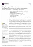 Pathophysiology_Atherosclerosis_Jebari.pdf.jpg