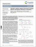 Hydrogen-Perretti_et_al-ChemComm-2022.pdf.jpg