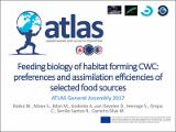 Rakka Feeding biology of habitat forming CWC preferences and assimilation efficiencies of selected food sources.pdf.jpg
