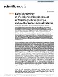 Large_asymmetry_magnetoresistance_loops.pdf.jpg