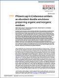 Phloem_sap_Cretaceous_2020.pdf.jpg