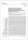 Preferential_Production_and.pdf.jpg