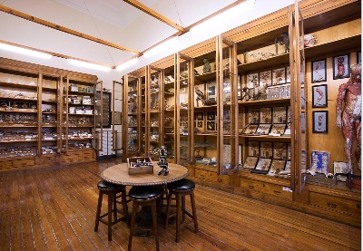 Cabinet of Natural History, Cardenal Cisneros Institute