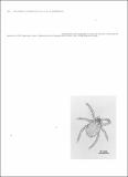 Molecular_detection_Ehrlichia_phagocytophila.pdf.jpg