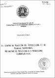 1998-TesisElenaTorrado.PDF.jpg