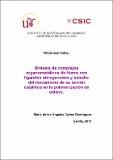 Tesis Doctoral MªÁngeles Cartes.pdf.jpg