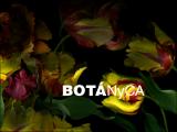 BOTANYCA-ExpoRJB2012.pdf.jpg