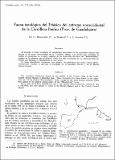 Fauna icnologica del Triasico.pdf.jpg
