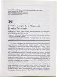 sambucus-nigra-catalonia-iberian-peninsulab.pdf.jpg