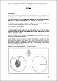 Prim_CartFrutHuePep_Melocotonero 70.pdf.jpg