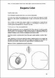 RoquetaGelat_CartFrutHuePep_Melocotonero 80.pdf.jpg