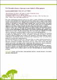 Drought tolerance of inter-provenance hybrids of Pinus pinaster.pdf.jpg
