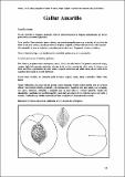 GallurAmarillo_CartFrutHuePep_Melocotonero 47.pdf.jpg