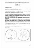 Chalaca_CartFrutHuePep_Manzano 67.pdf.jpg