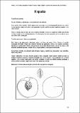 España_CartFrutHuePep_Melocotonero 45.pdf.jpg