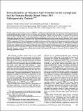 Plant Physiol.-2004-Uhrig-2411-23 (1).pdf.jpg