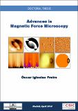advances_magnetic_force_Microscopy_Iglesias.pdf.jpg