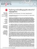 network_angiogenesis_Montañez.pdf.jpg