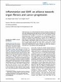 inflammation_EMT_Lopez.pdf.jpg