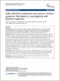 solar_ultraviolet_Carbonell.pdf.jpg