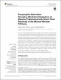 Presynaptic Adenosine Receptor-Mediated.pdf.jpg