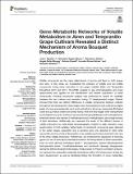 Gene-Metabolite Networks of Volatile Metabolism.pdf.jpg