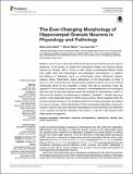 The Ever-Changing Morphology.pdf.jpg