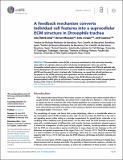 Feedback_mechanism-Ozturk.pdf.jpg