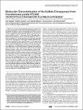J. Biol. Chem.-2005-Nogales-35382-90.pdf.jpg
