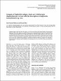 Synopsis of Euphorbia subgen. Esula.pdf.jpg