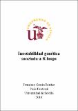 Inestabilidad genética_GarciaBenitez.pdf.jpg