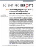 The MDM2-p53_Vecino.pdf.jpg