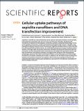 cellular_uptake _pathways_sepiolite_nanofibers_DNA_transfection_improvement.pdf.jpg