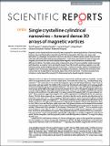 crystalline_cylindrical_nanowires_dense_3D_arrays_magnetic_vortices.pdf.jpg
