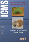 Memoria_ICMS_2013b.pdf.jpg