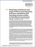 Morphology_planktonic_zoea_Palicus_caronii_DNA_barcoding.pdf.jpg