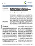 Mercury_adsorption_Antuña_2020.pdf.jpg