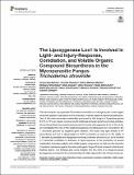 The Lipoxygenase Lox1.pdf.jpg