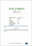 EOSC-SYNERGY-Ms11.pdf.jpg