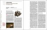 Plantas enterradas pozo-depósito Tabacalera Gijón.pdf.jpg