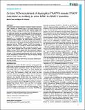 Journal of Cell Science_Pinar_2020_Pdf.pdf.jpg
