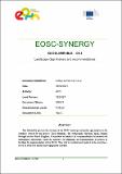 D5.2-EOSC-synergy-deliverable_final-June2021.pdf.jpg
