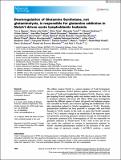 Molecular Oncology - 2020 - Nguyen - Downregulation of Glutamine Synthetase  not glutaminolysis  is responsible for.pdf.jpg