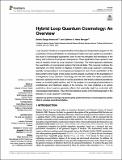 Hybrid Loop Quantum Cosmology.pdf.jpg
